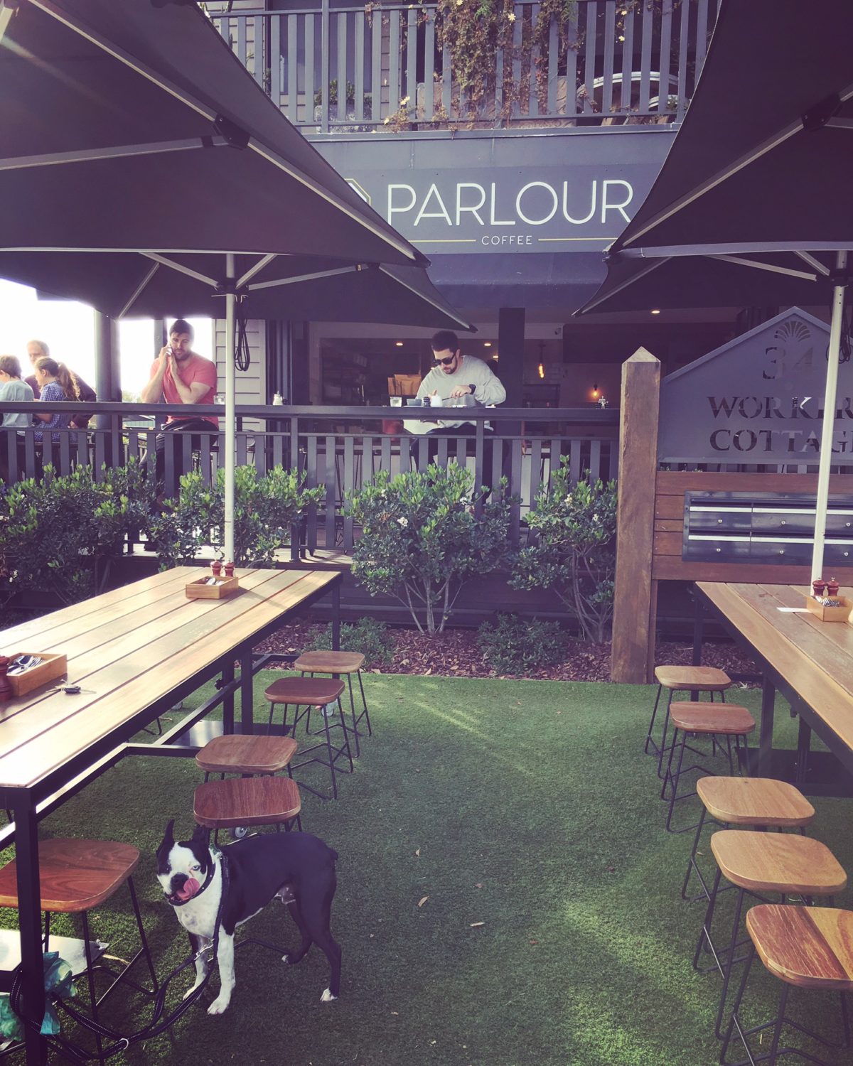 Brain’s Pet Friendly Cafe Discovery Mission – Parlour, West Burleigh